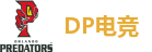 DP电竞